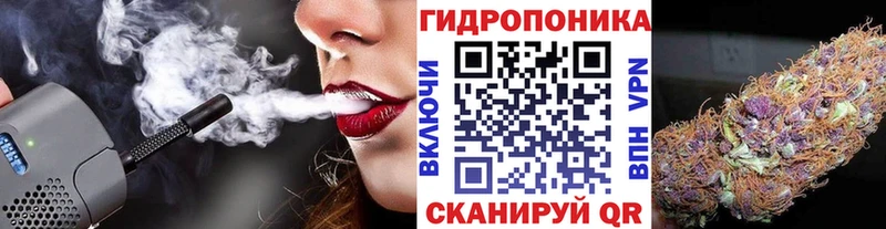 Магазины продажи наркотиков Красавино Гашиш  Cocaine  Псилоцибиновые грибы  Конопля  МЕФ 