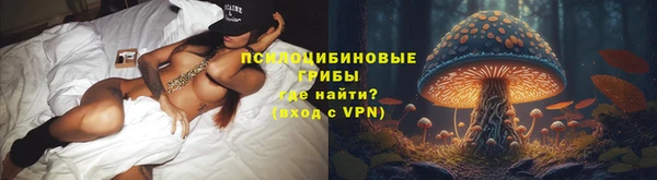 спайс Беломорск