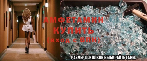индика Белокуриха