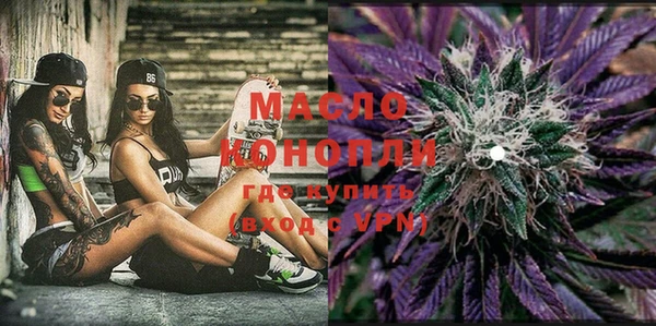 индика Белокуриха