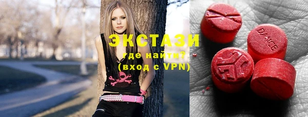индика Белокуриха