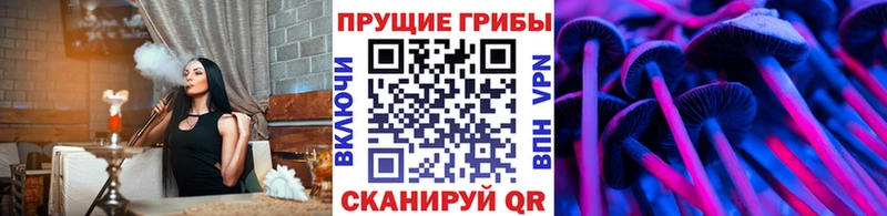 купить  цена  Красавино  Псилоцибиновые грибы мухоморы 